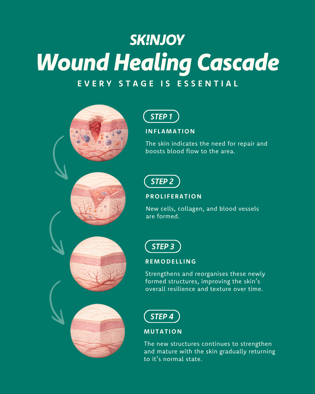 skincare definitions - The wound healing cascade refers to the skin’s natural, multi-phase repair process that is activated in response to injury.
