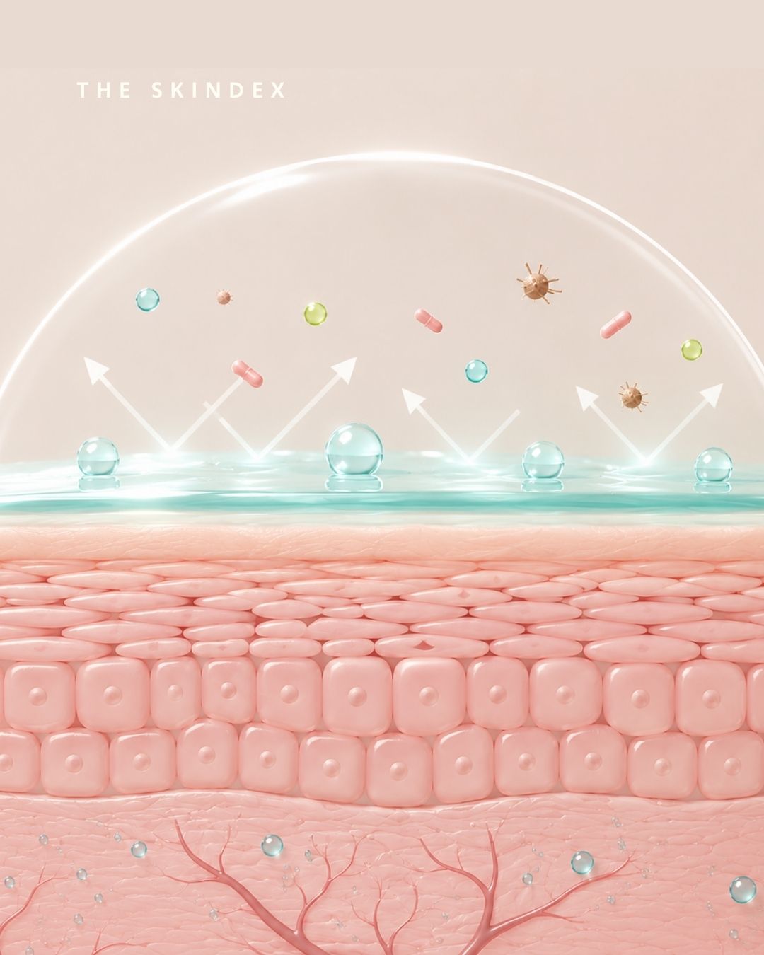 skincare definitions - The acid mantle is a thin, slightly acidic film that sits on the surface of your skin and it plays a critical role in maintaining skin health.